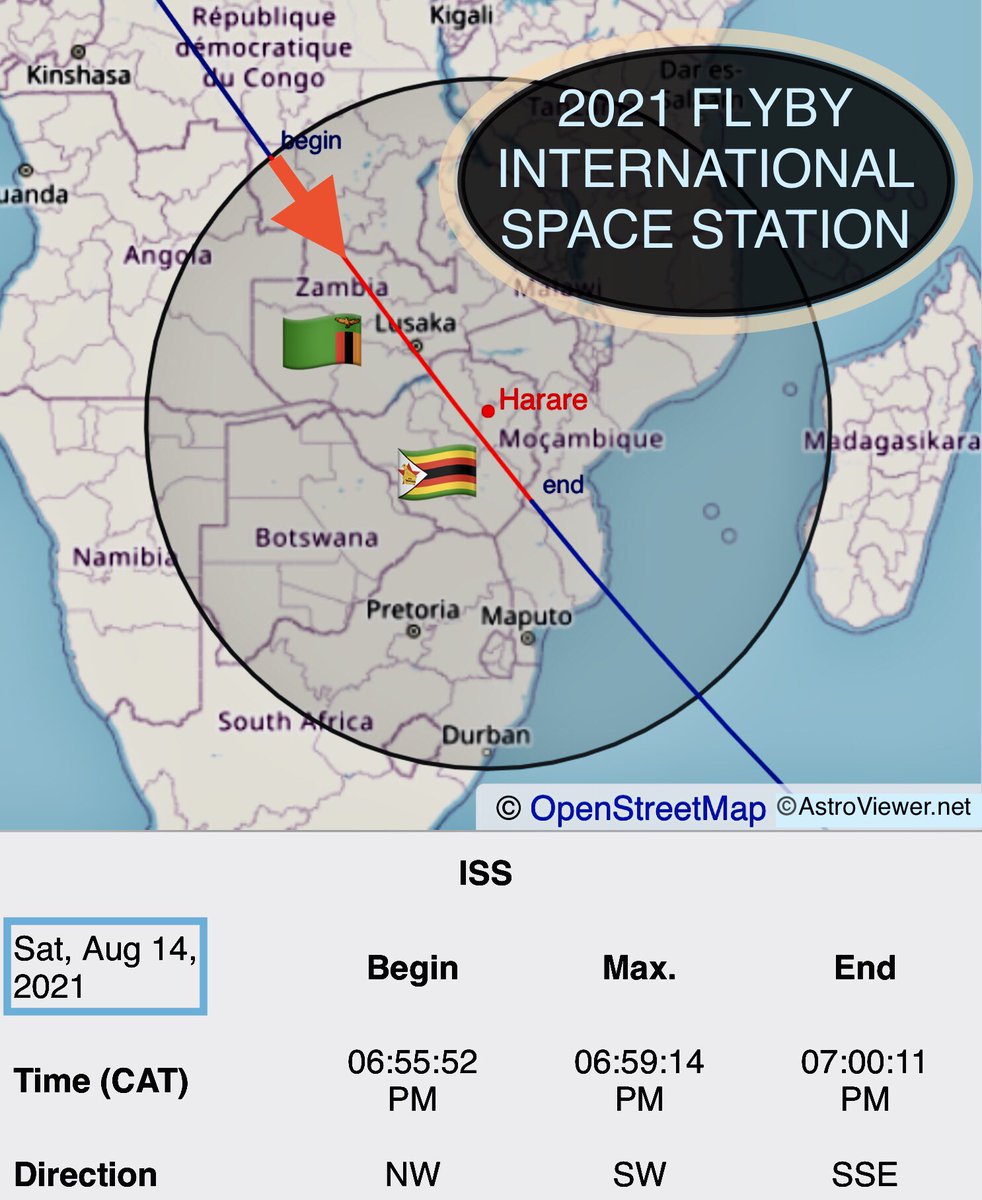Ignazio Magnani tweet media