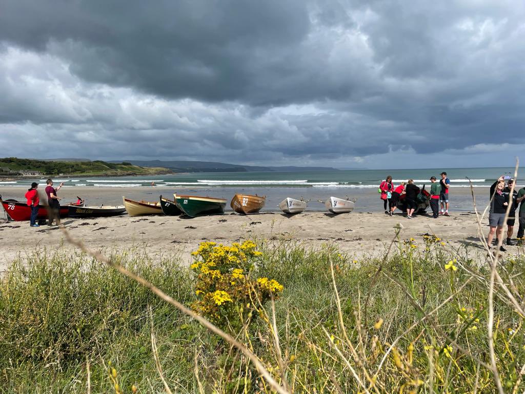 WhiteheadRowers tweet media