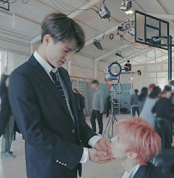 how to touch a cat 🐈