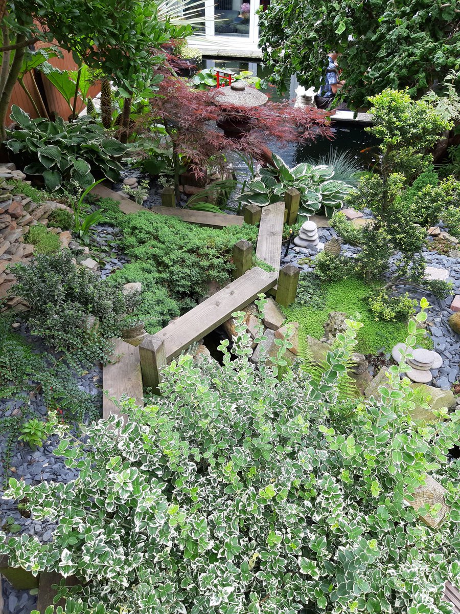 Morning well spent eating cake and enjoying this fabulous #Japanese #garden in suburban Bristol. Martin has spent years building everything in the garden from scratch, its beautiful! Definitely recommend a visit, they're open today and tomorrow.
<a href="/NGSOpenGardens/">National Garden Scheme</a>