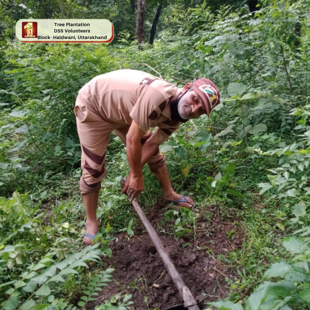 DSSNewsUpdates's tweet photo. TREE PLANTATION🌱- DSS VOLUNTEERS, HALDWANI (UTTARAKHAND)
 #SaintDrMSG #SAINTDRGURMEETRAMRAHIMSINGHJIINSAN  #treeplanting #plantation #TreePlantationDrive #mothernature #motherearth #motherearthlove #earth #nature #NatureCampaign #environment #environmentallyfriendly #saplings https://t.co/1agxc7BMc4