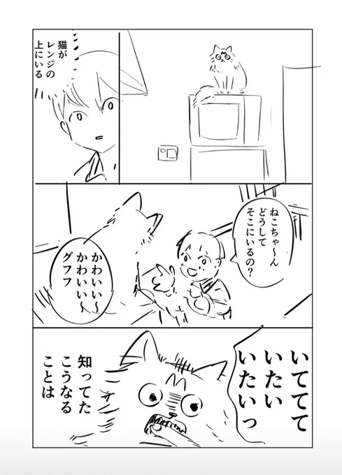 あるじ(犬)とベル蔵(猫)とわたし 