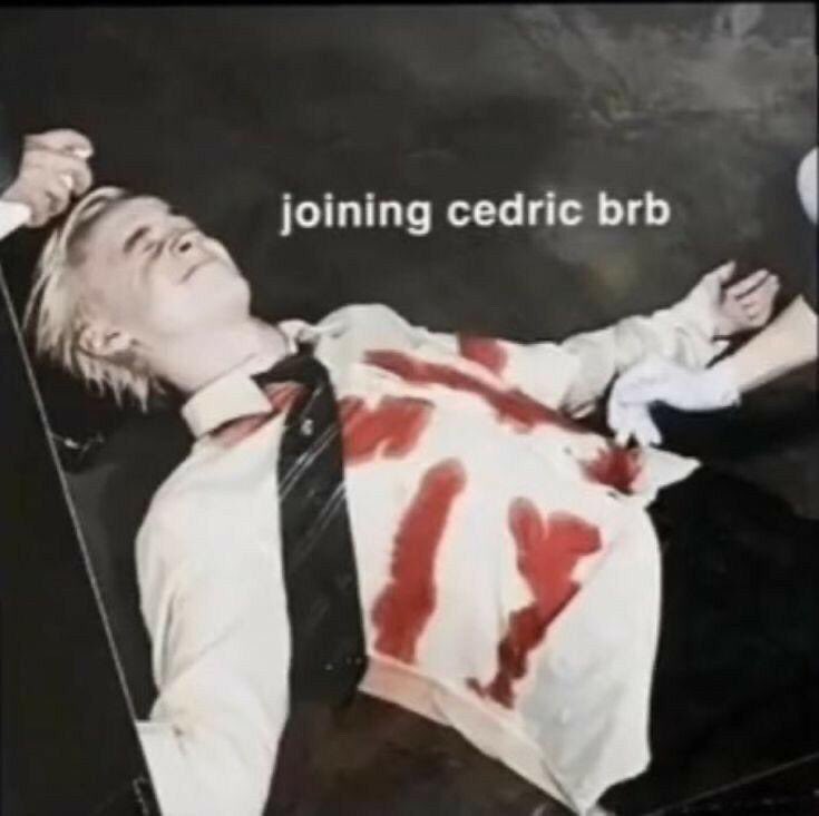 LIKE TO BE ADDED TO AN IC CHAT (SELECTIVE FOR REASONS)