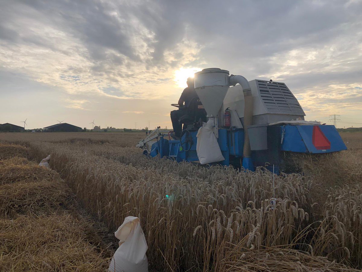 Nog even......
Hard gewerkt door <a href="/JorisGiesen/">Giesen Crop Research🚜</a> en zijn team