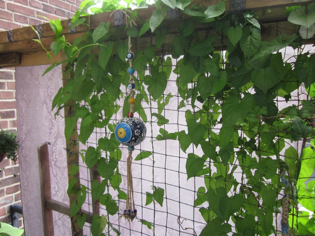 BoomVermeer's tweet photo. I now have a beautiful protective Turkish eye hanging from my balcony so there's that. #saveturkey #itsburning https://t.co/nwMd70bpUY
