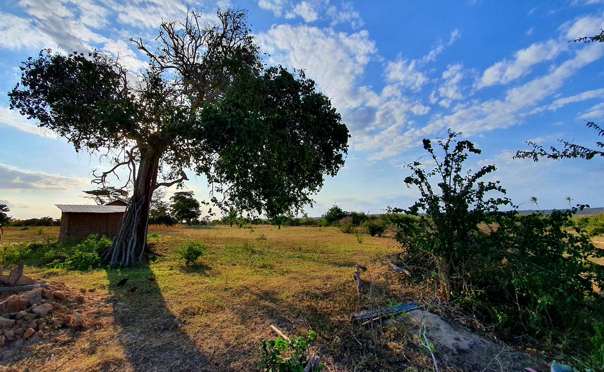 salimcamerapix's tweet photo. Mystery interviews continue ... out and about in coastal rural lands!! Magnificent sunset on another awesome day!! loving this!! On the road for a few days!! Working with the best team around!!
#interview #history #magicalkenya #crew #camerapix #comingsoon #setup #onset #sunset https://t.co/ih9rqH8W0v