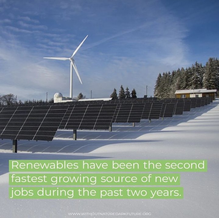 WNDFTweet's tweet photo. The most rapid renewable energy job growth has come from the solar and wind sectors, which rose by 24.5%  and 16% respectively, from 2016 to 2017. https://t.co/mR7fQRcV0K