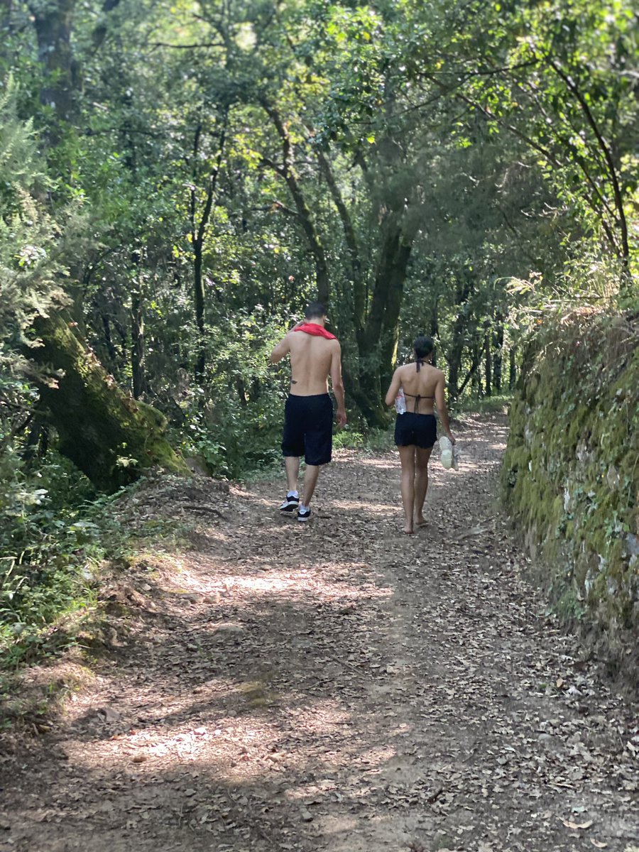 « Voyageur il n’y a pas de chemin, le chemin se fait en marchant » #ecologie