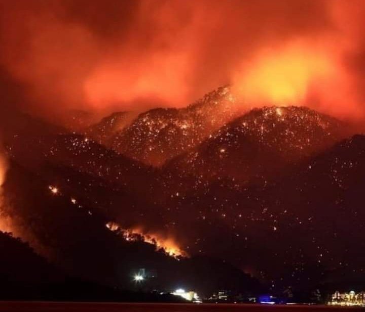 miumiuenergy's tweet photo. ‼️i wanna talk about my country Algeria, after the oxygen crisis in the hospitals we're dealing now with wildfires, more than 70 dead and countless others displaced &amp; in need of food,  medicine, shelter &amp; they need your help just 1$ can make a difference https://t.co/m5RX7eWYTV https://t.co/it8aNPOy5x