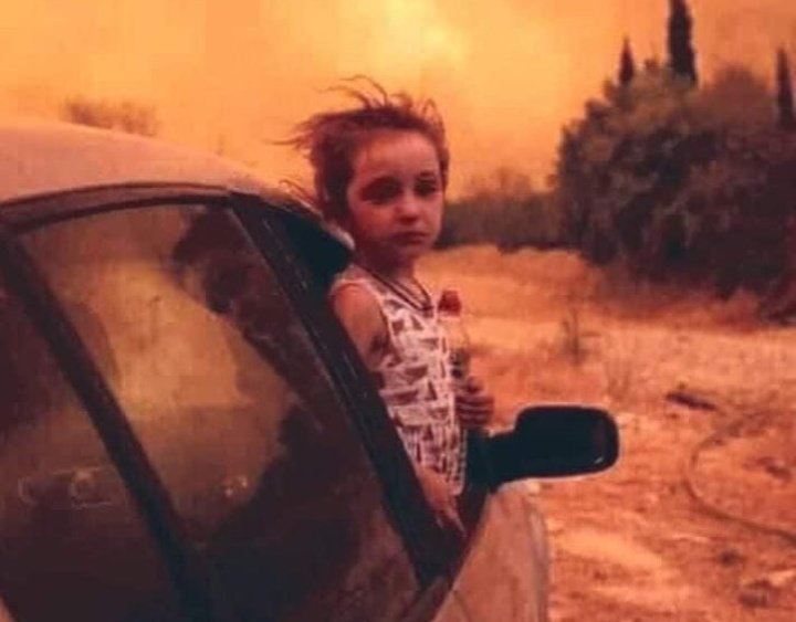miumiuenergy's tweet photo. ‼️i wanna talk about my country Algeria, after the oxygen crisis in the hospitals we're dealing now with wildfires, more than 70 dead and countless others displaced &amp; in need of food,  medicine, shelter &amp; they need your help just 1$ can make a difference https://t.co/m5RX7eWYTV https://t.co/it8aNPOy5x