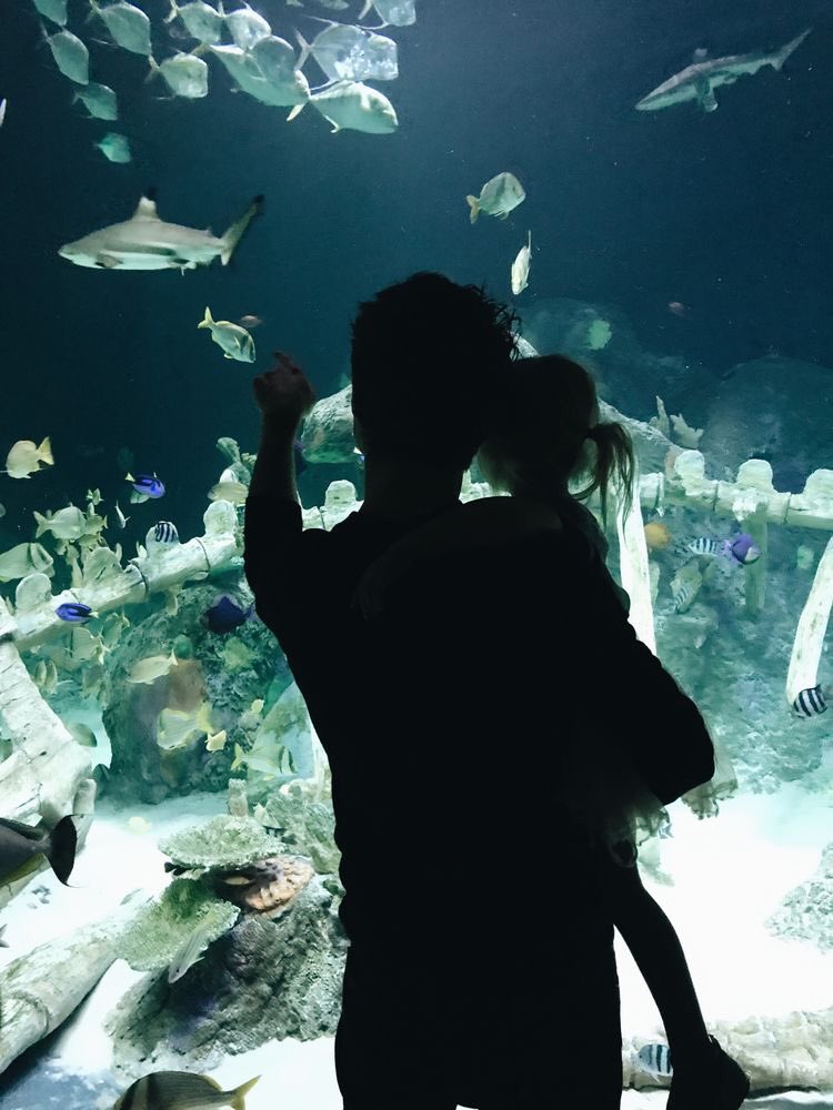 huhynjines's tweet image. “No soy la dama de la mafia, no soy una teniente; soy una mamá normal que come helado con sus hijos, los lleva al parque, almuerza con ellos y con su marido, paga una entrada al acuario donde pasa la tarde escuchando charlas sobre animales marinos” – Rachel  James