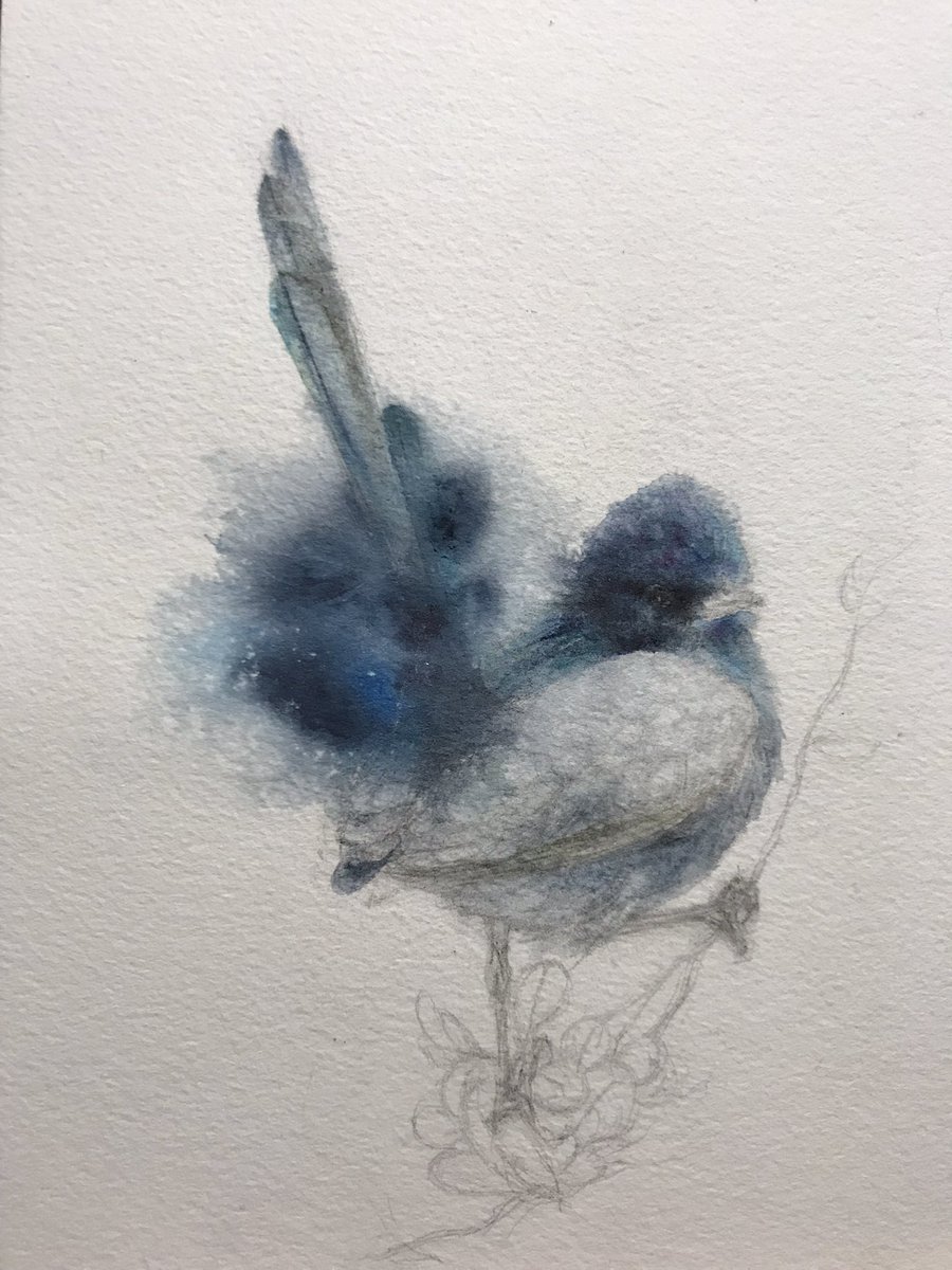 Still in progress.
#watercolour #painting #bird #illustration