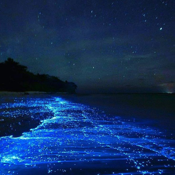 PRL_Commu's tweet photo. Night Event :คืนคาเอย์(เส้นทางเเห่งสีเงิน)  
เมื่อช่วงเวลากำลังใกล้สิ้นสุด ชาวกลุ่มเงือกจะได้กลับลงสู่บ้านของตัวเองสักที 
ช่วงเวลาที่ผ่านมาที่พวกเขาได้ขึ้นมาใช้ชีวิต3เดือนอยู่ในอควาเรียมเเห่งนี้ทำให้พวกเขารู้สึกผูกผันกับที่นี้ นั่นรวมไปถึงพนักงานอควาเรียมที่ช่วยดูเเลพวกเขาเช่นกัน https://t.co/ys0kcqDRgw