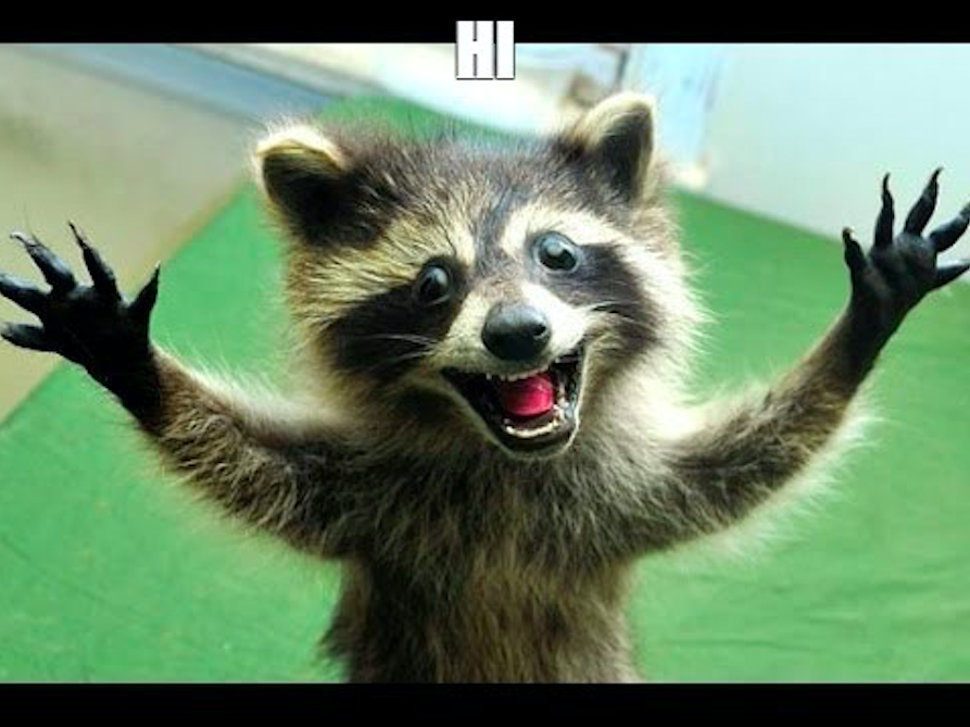 ReCharge Indonesia tweet media