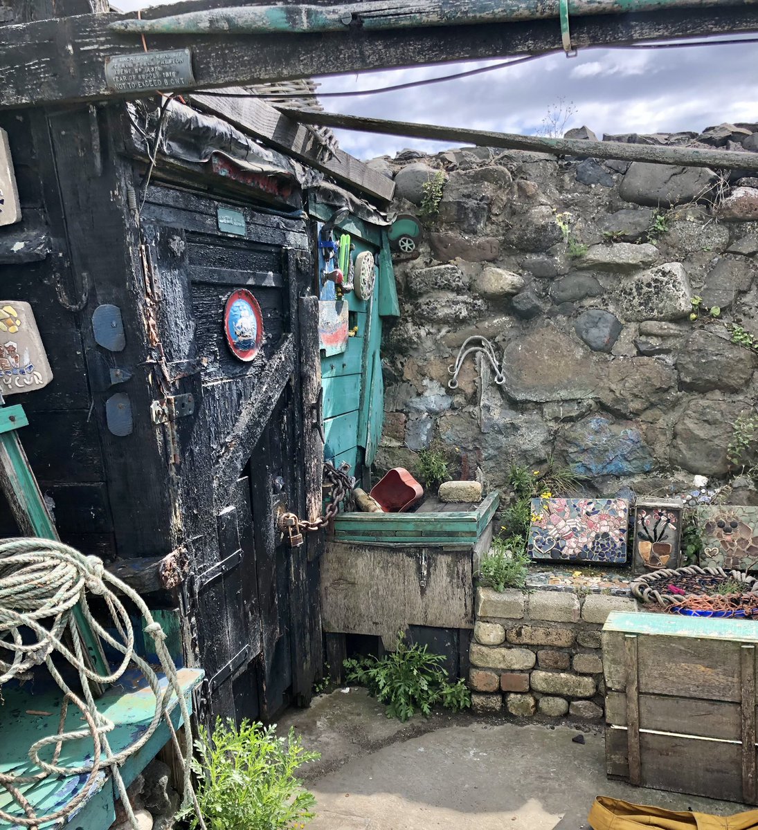 linda 👋🏼🐸 tweet media