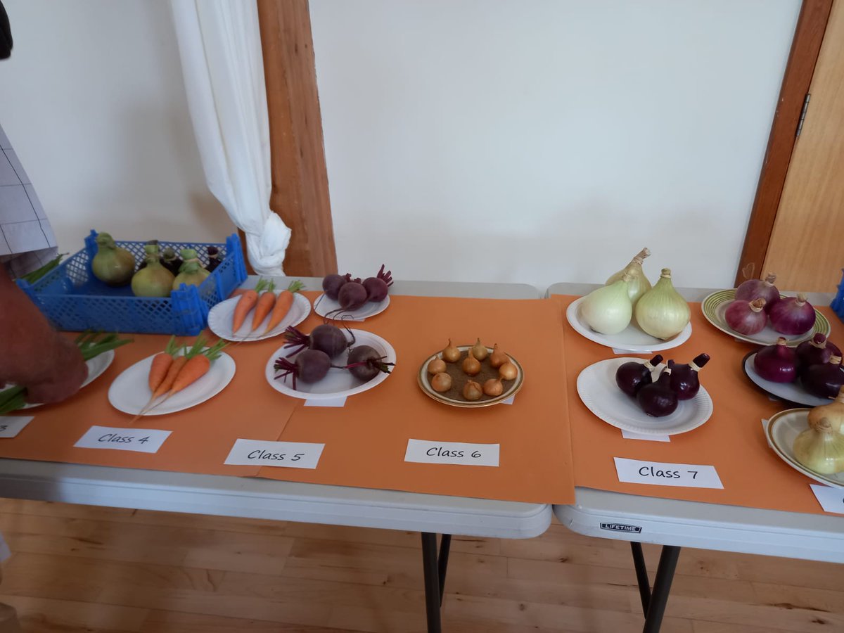 essential_scott's tweet image. And this is #langtree parish show. They know how to live! #home