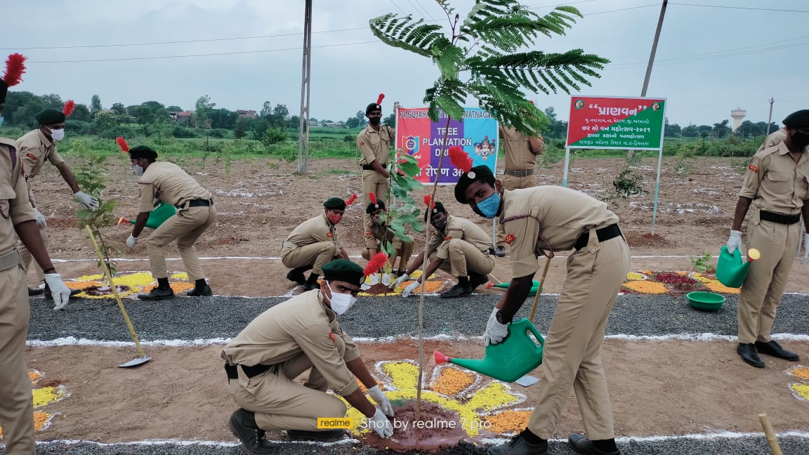 NCC_Dte_Gujarat's tweet photo. #EkMaiSauKeLiye Ph6. Gujarat NCC Vriksha Ropan Abhiyan 14-15 Aug 21. Each NCC Cdt to plant five saplings sp by Guj Forest Dept covering 33 distts &amp; 251 talukas. Together, let's make our nation green. 
@DefencePRO_Guj
@HQ_DG_NCC
@CMOGuj
@GovernorofGuj
@imBhupendrasinh https://t.co/nleuBAQRcX