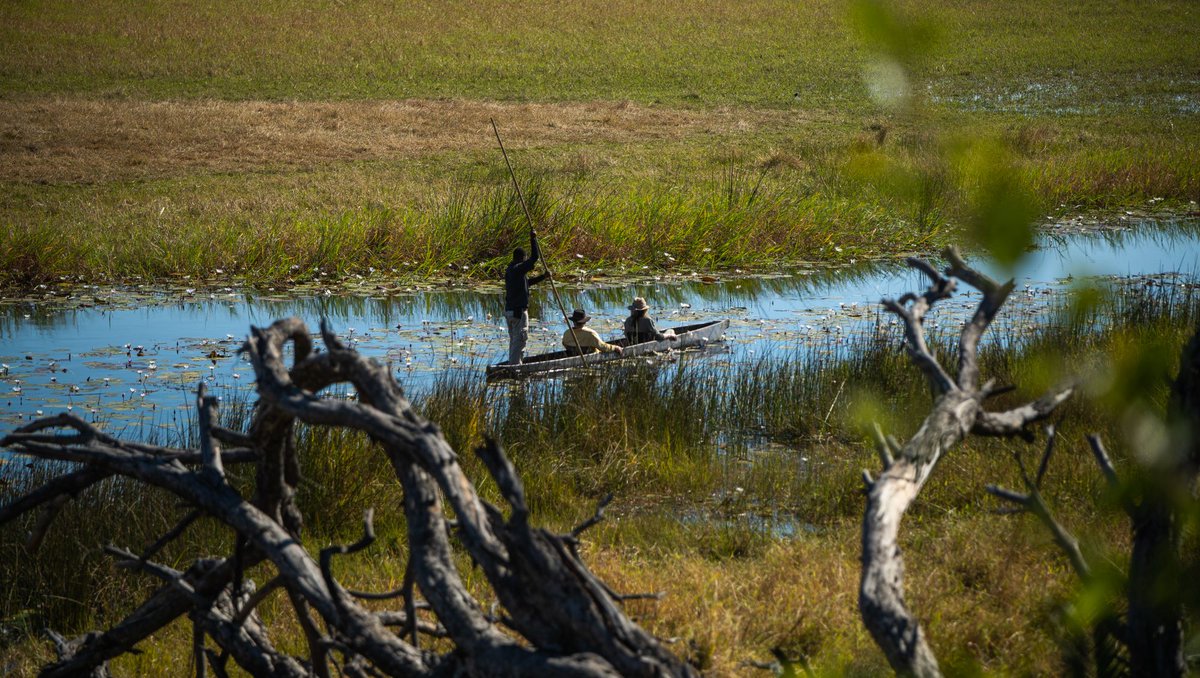 WeAreWilderness's tweet photo. The #OkavangoDelta is renowned for its restorative powers. #JaoCamp is no different, making it the perfect place to retreat to for relaxation and reflection. Discover all the enchanting offerings at Jao Camp: https://t.co/PvYKWmluNc
#WildernessSafaris #Safari https://t.co/KpEUFSIwcn