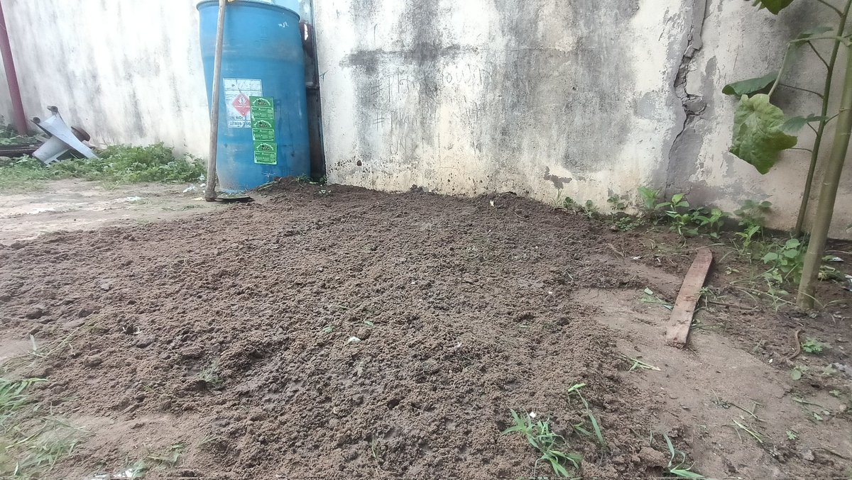 Waiting for my babies to grow. <a href="/undpsouthsudan/">UNDP South Sudan</a>