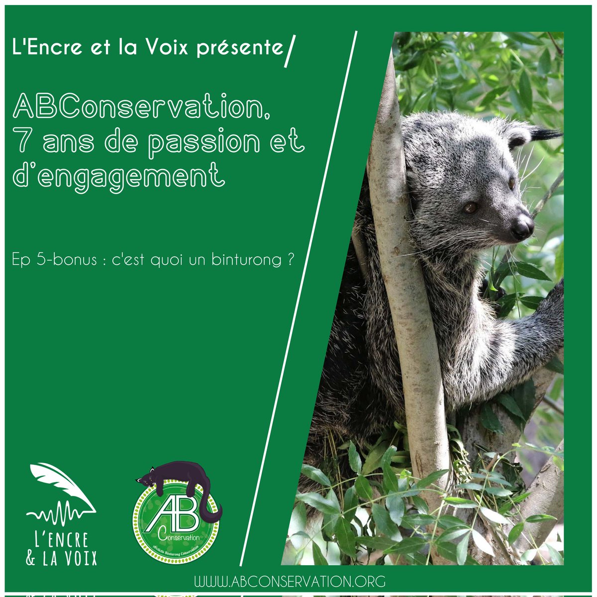 ABConservation - Arctictis Binturong Conservation tweet media