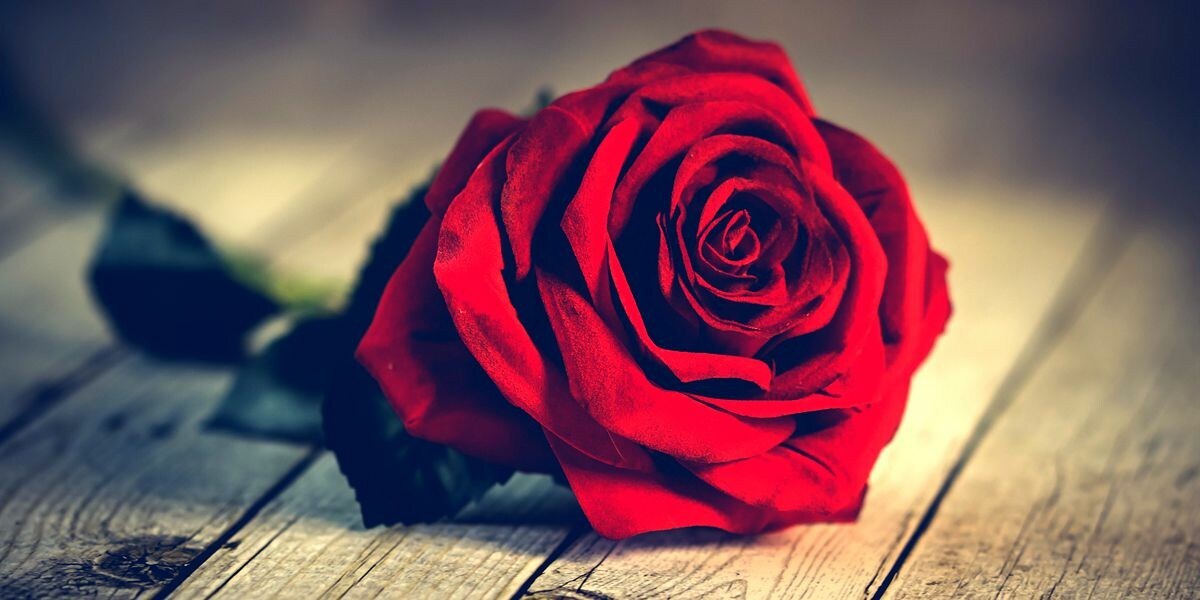 WorldofChinese's tweet photo. It's #QixiFestival! Today celebrates the tragic romance between a weaver girl and a cowherd. Swat up with these romantic verses from classic Chinese #poetry. #learnChinese #doubleseventh 🌹 🌹 https://t.co/e7Xy2ESWrz https://t.co/jj0IAa9RLw