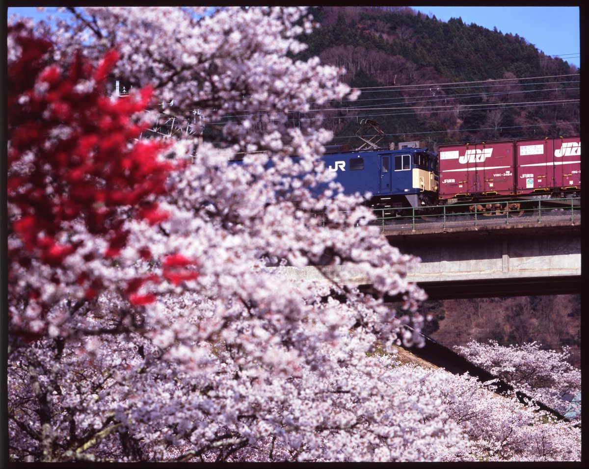 小嶋 研太 tweet media