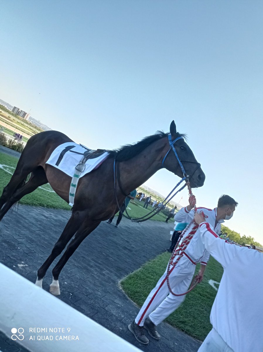 Aegean Finale 💯⭐
"Ben kazanacağım" pozunu vermişti.