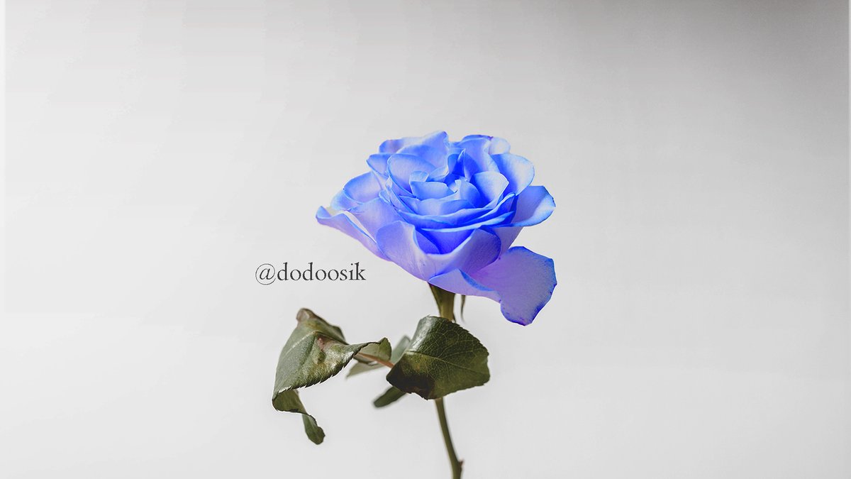 dodoosik's tweet image. [에델도로] 신앙의 이유
또 재업~ 선생님 없는 홍화팀ㅎ 이번에도 선생님 짝사랑하는 도로테아 나옴~ 짝사랑 끊자 부탁이다(ㅈㄴ
posty.pe/sf1dvx