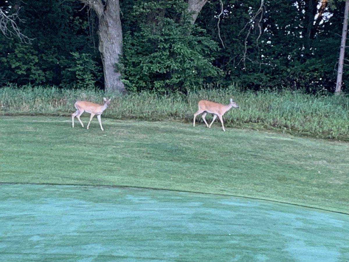 2 young ones out on a cool morning.#WBYC