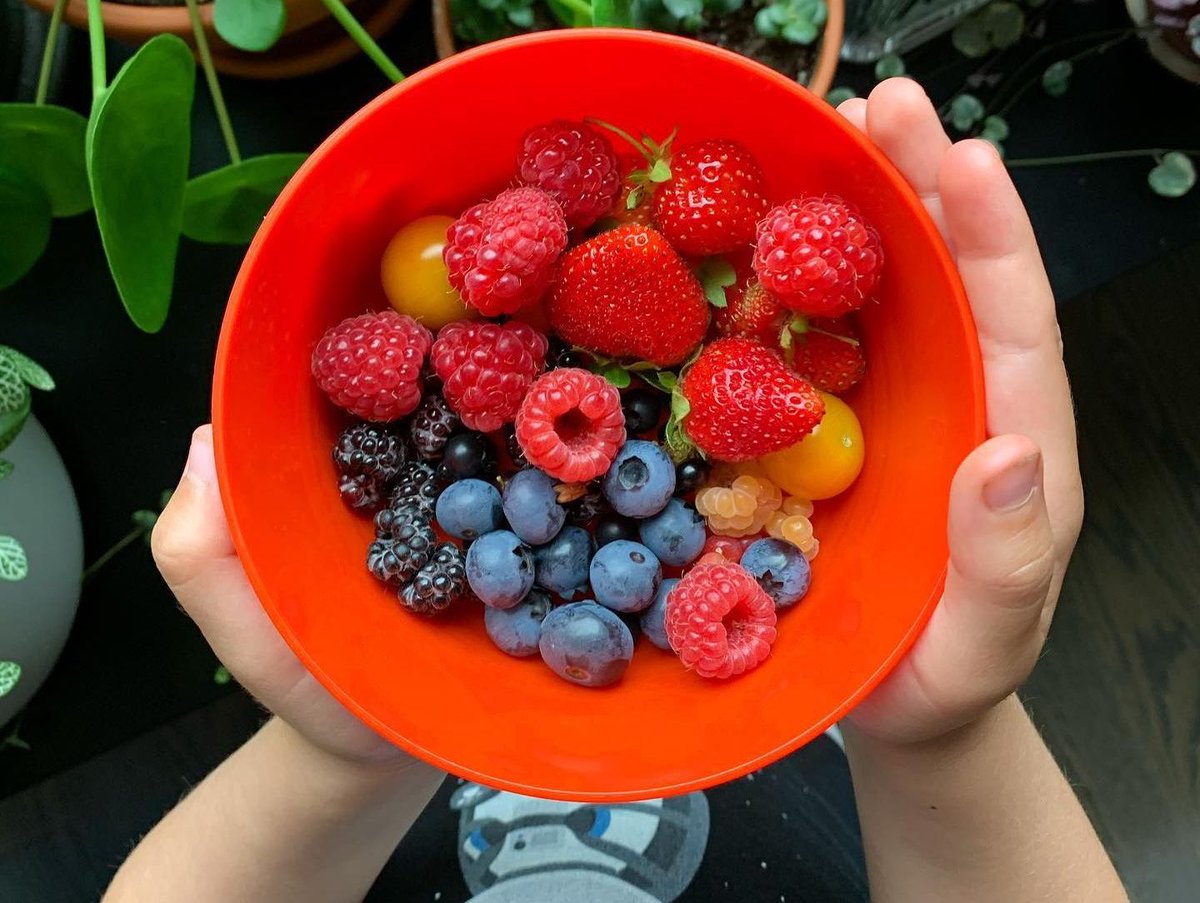 Bushel and Berry® tweet media