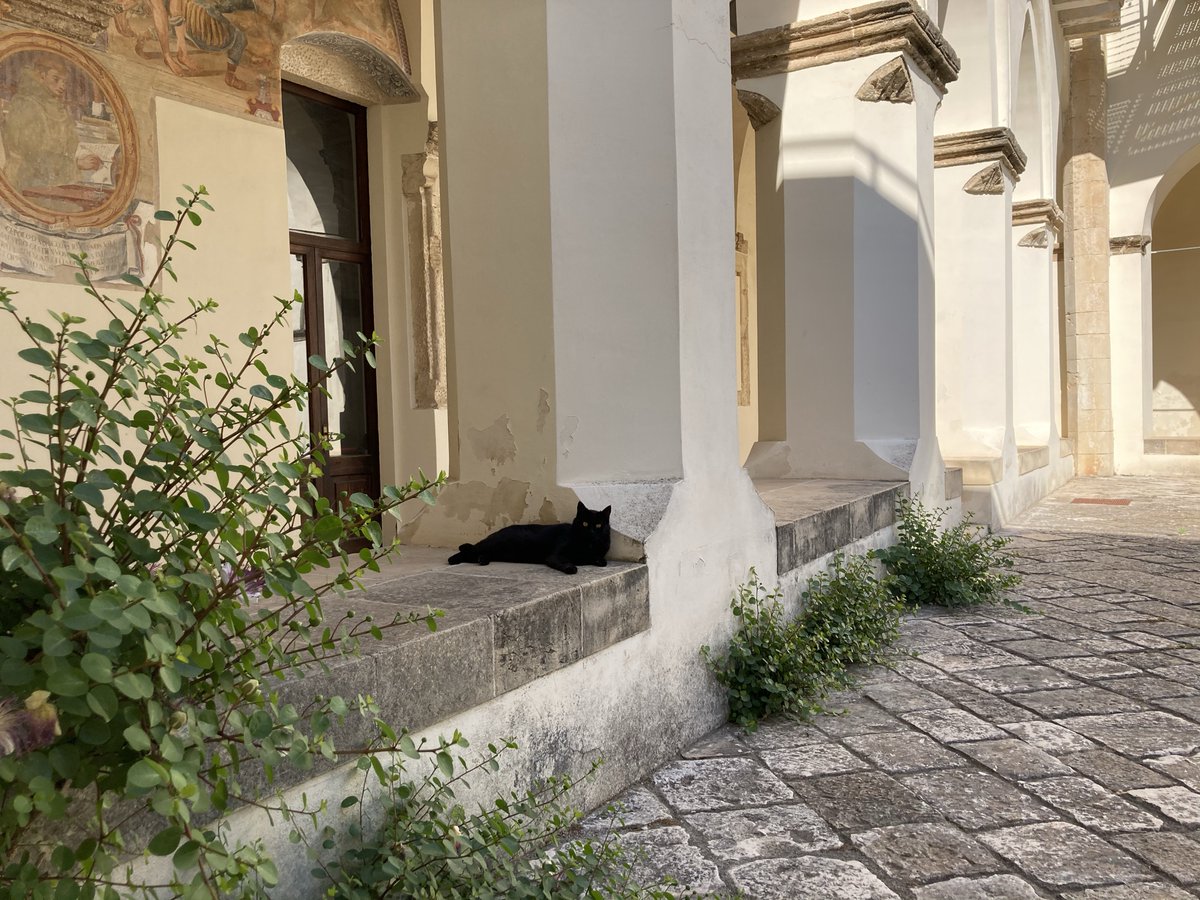 In questi giorni il Museo è regolarmente aperto 9.30/12.30 - 17.00/20.30
Vi aspetta anche Gattonero🙂

These days the museum is regularly open
 9.30/12.30 a.m. – 5.00/8.30 p.m.
You will be also welcomed by Gattonero🙂

349 679 9790
museodellapreistoria.com
@museopreistorianardo