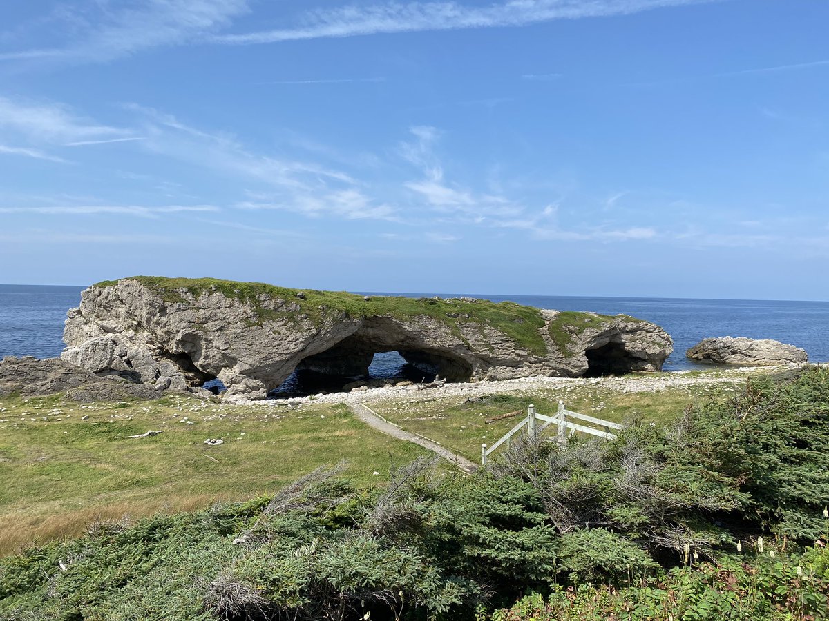 AndreMyers's tweet photo. Lots of beautiful places in NL but nothing quite as beautiful as the @VikingTrail It really is the most scenic drive in the province! ;) #vikingtrail #explorenl #beyondyourbackyard https://t.co/uQobY1XWGi