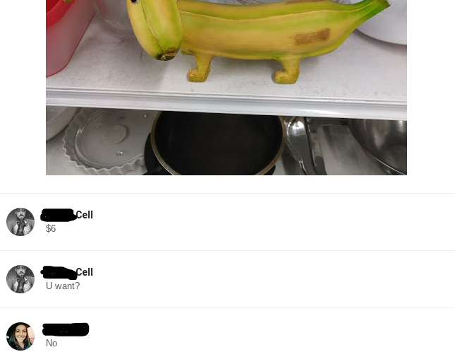 mrspixel5's tweet photo. Okay, I'm going to defend myself in the banana dog saga. I never said @pixel5_ couldn't get banana dog. I just didn't want him myself. I even told him to go back and get it. #fakenews #bananadog https://t.co/w1VfpQCpUj