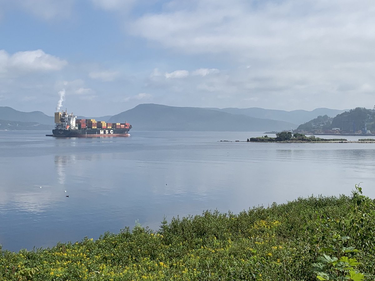 MLuedee's tweet photo. Mediterranean Shipping Company container ship preparing to dock at the port of @CornerBrook about 45 minutes ago. https://t.co/CNvhEFzF3s
