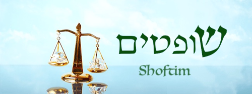 yeshshem's tweet photo. Parasha Shoftim = Judges; Shoftim Connects To Hebrew Month of Elul https://t.co/d7OybQL1aP https://t.co/PQjZKC2WyA