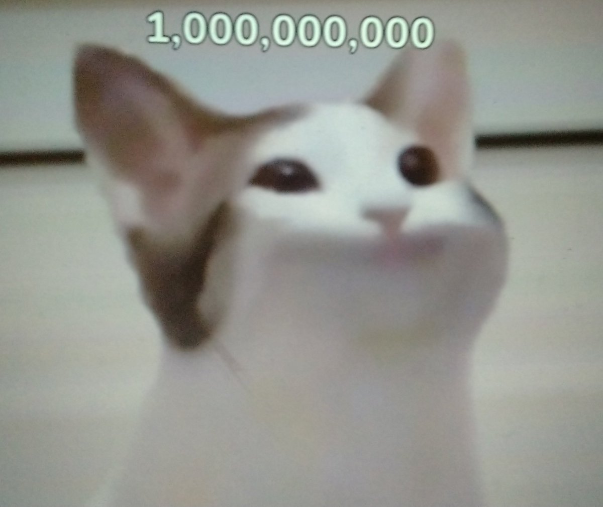 freddewfif's tweet photo. @PopCatClick hahahaa https://t.co/lXmFYToMQ0