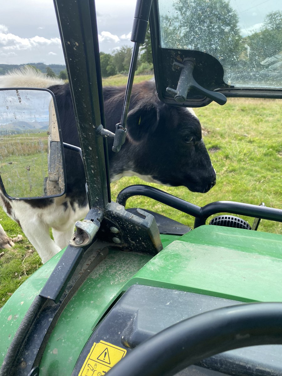 36clare's tweet photo. Farming for a bit today! #farmlife #noshouting #betterthanexpected #FarmLife https://t.co/EI96vpjIPU