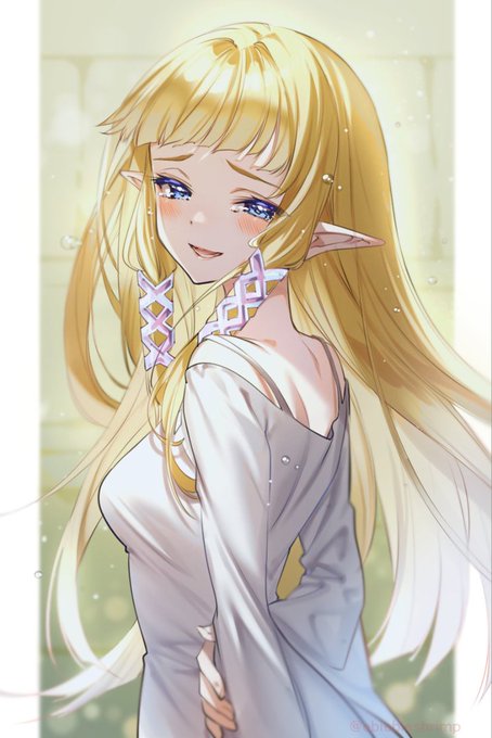 「princess zelda」Fan Art(Popular｜RT&Fav:50)