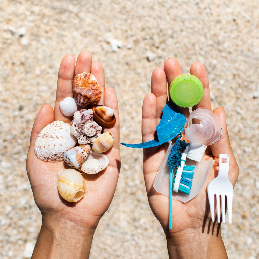 RestoreFoodware's tweet image. The future is in our hands.. Make sustainable choices today to ensure a better tomorrow 🤲🌎

#Plasticfree
#Sustainable
#Summer2021