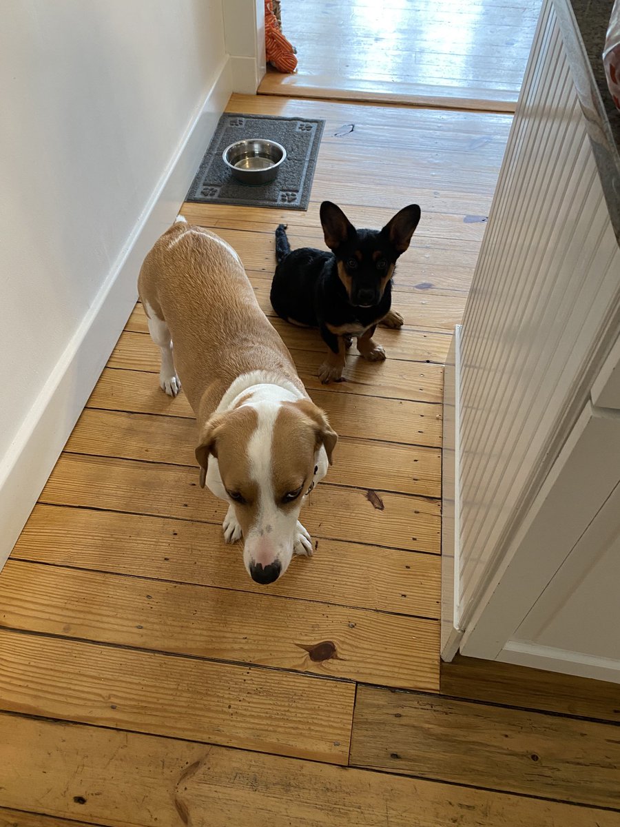 Jim Cramer tweet media