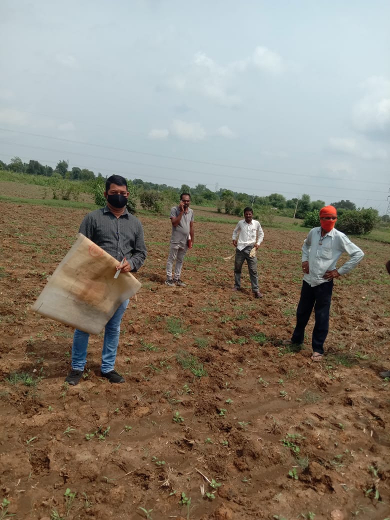 मूंग उड़द के फसल की जांच

#mppatwari_strike
<a href="/ChouhanShivraj/">Shivraj Singh Chouhan</a> <a href="/OfficeofSSC/">Office of Shivraj</a> <a href="/drnarottammisra/">Dr Narottam Mishra</a>  <a href="/GovindSingh_R/">-</a> <a href="/nstomar/">Narendra Singh Tomar</a> <a href="/KamalPatelBJP/">Kamal Patel</a> <a href="/BJP4MP/">BJP Madhya Pradesh</a> <a href="/vdsharmabjp/">VD Sharma</a> <a href="/PMOIndia/">PMO India</a>  <a href="/mprevenuedeptt/">Revenue Department, Madhya Pradesh</a> <a href="/BhopalSamachar/">Bhopal Samachar</a> <a href="/ZeeMPCG/">Zee MP-Chhattisgarh</a> <a href="/News18MP/">News18 MadhyaPradesh</a> <a href="/DainikBhaskar/">Dainik Bhaskar</a>