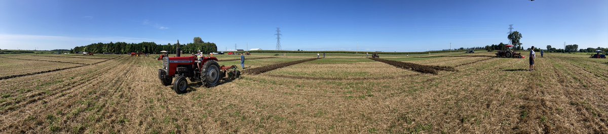 Dave Harwood tweet media