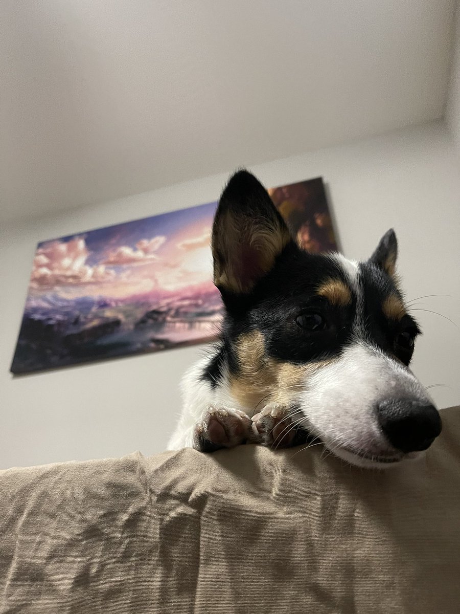 rinthecorgi's tweet photo. “Please take me to the mall to say hi to the humans🥺” 

Okay...anything to spoil the princess 😪

#puppy #pembroke #corgicrew #teamcorgi #corgi #photogenic #vegas #lasvegas #friday #aloha #saturday #cute #cutie #mood #dogsofdts #downtownsummerlin #summerlin https://t.co/EK95O3O7o0