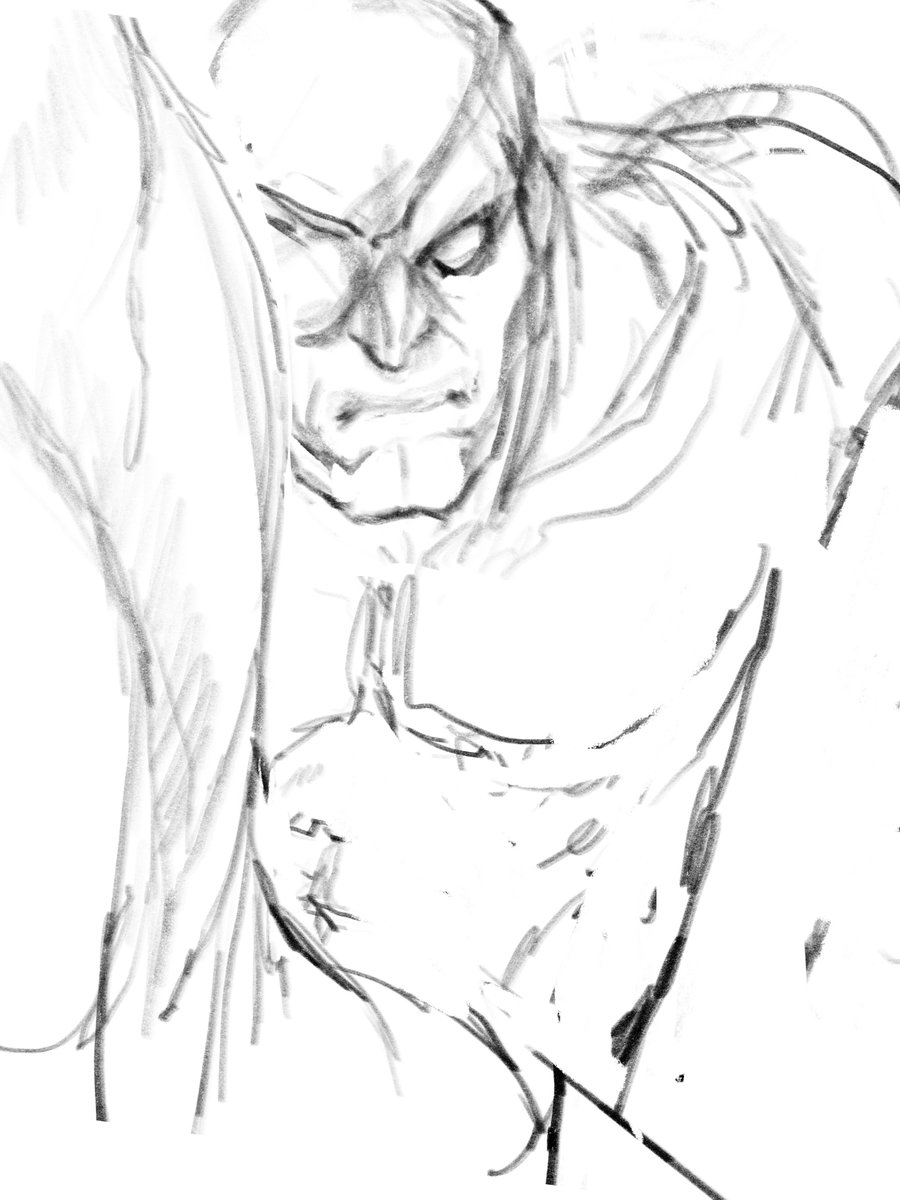 Sketch dump

#StreetFighter #格ゲーキャラ描こうぜ 