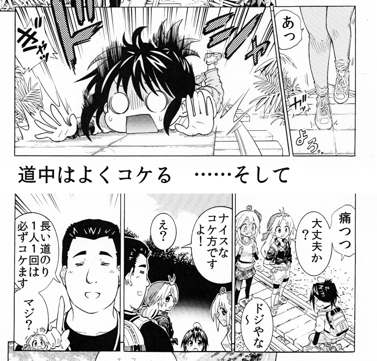 【もののけ姫の聖地・屋久島の縄文杉に会いに行ったお話】その2 道中は油断すると危険 