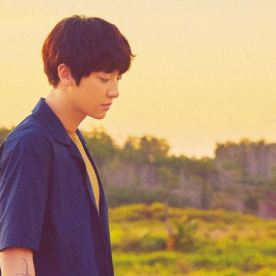 checkpointsc's tweet photo. #PLOT4 - Chanyeol é um Lepidopterologista solteiro de 36 anos que dedica sua paixão toda ao trabalho que faz no Borboletário de Seoul. Desde que um dorama chamado A Teoria das Borboletas no Estômago estoura em audiência, seus colegas não o deixam em paz e ele se torna o galã do + https://t.co/TYuMPBMNQo