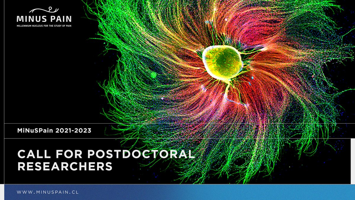 minuspain's tweet photo. ¡Atención! En @minuspain buscamos investigadores proactivos y altamente motivados para tres vacantes postdoctorales. 

Nuestro propósito es lograr una investigación competitiva internacionalmente relacionada con la investigación traslacional sobre el dolor y la #neurociencia. https://t.co/SnT25AFg1y
