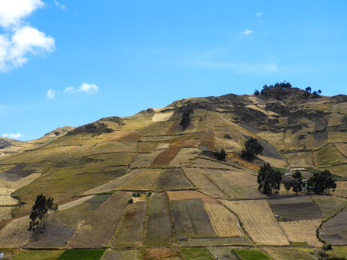 Paisajes únicos de la sierra ecuatoriana 🇪🇨
.
.
#ecuadorpluricultura #ecuadorentusojos #allyouneedisecuador #picoftheday #instatime #ecuador #biodiversidad #naturaleza #travelphotography #trip #hechoenecuador #ecuadoramalavida #ecuadorian #madeinecuador #ecuadorpotenciaturistica