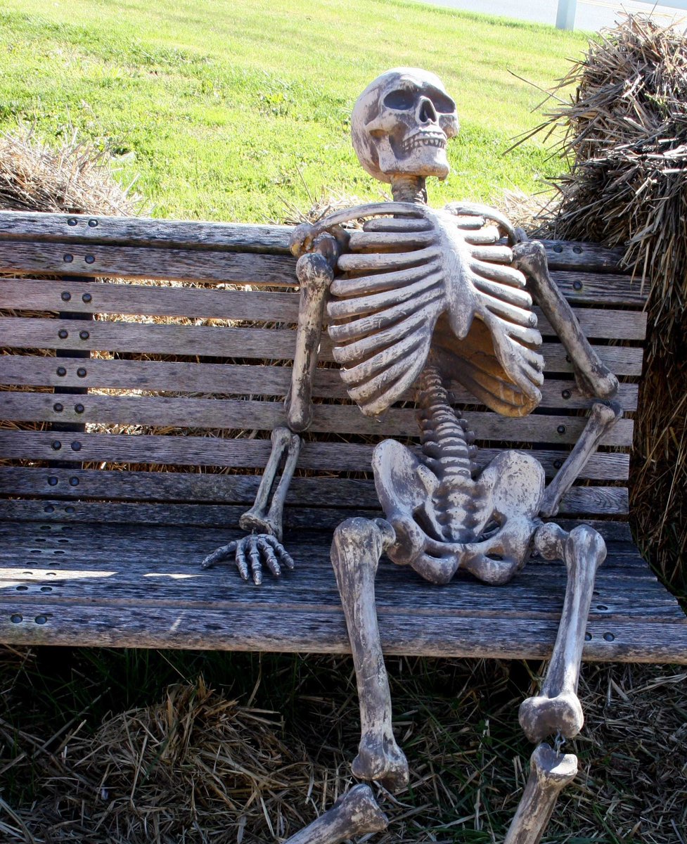 Memes Calavera Sentada