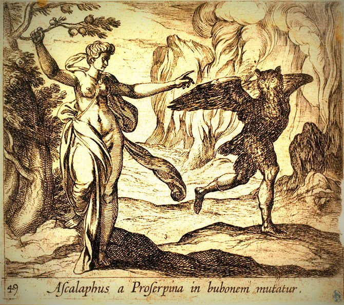 antinousgaygod's tweet photo. 14 Aug #LizardDay We remember #Ascalaphus the #demon boy who informed #Hades #Persephone had eaten a #pomegranate. #Demeter turned Ascalaphus into a #lizard & an #owl. #Ovid writes: "Poor Ascalaphus was punished for telling the truth when asked to do so." https://t.co/wkXLqGttQ7 https://t.co/Iic0R60LFr